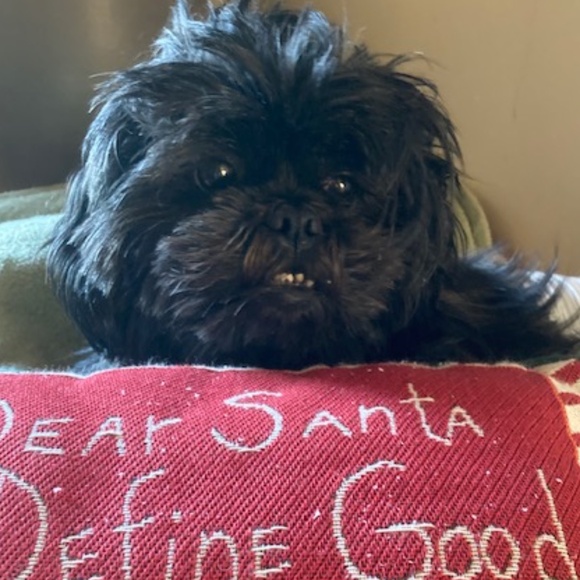 Fritz and Floyd 1999 Holiday Tray - Picture 6 of 6